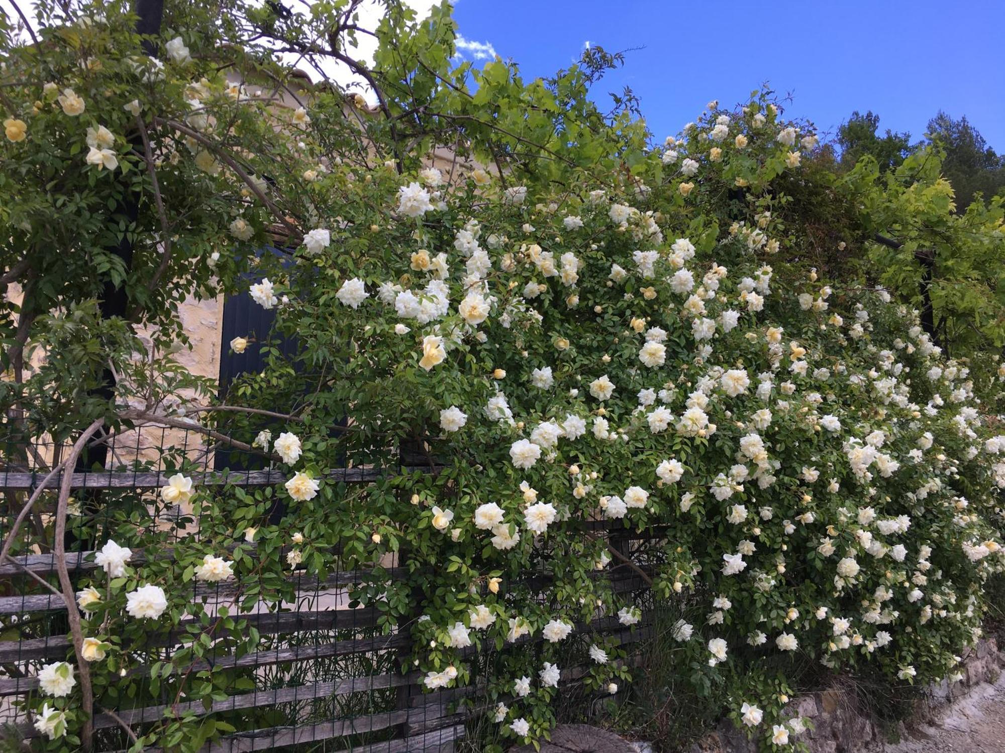 Les Genets Villa Fayence Luaran gambar