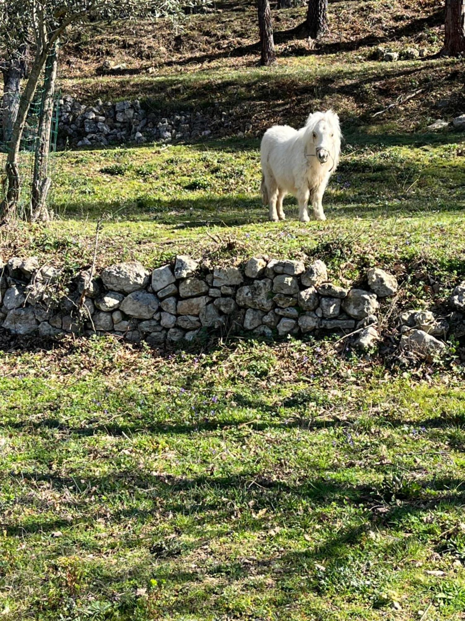 Les Genets Villa Fayence Luaran gambar